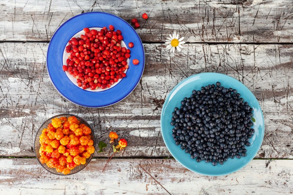 Plates of freshly picked Nordic berries: blueberries, cloudberries, and wild strawberries in Estonia.