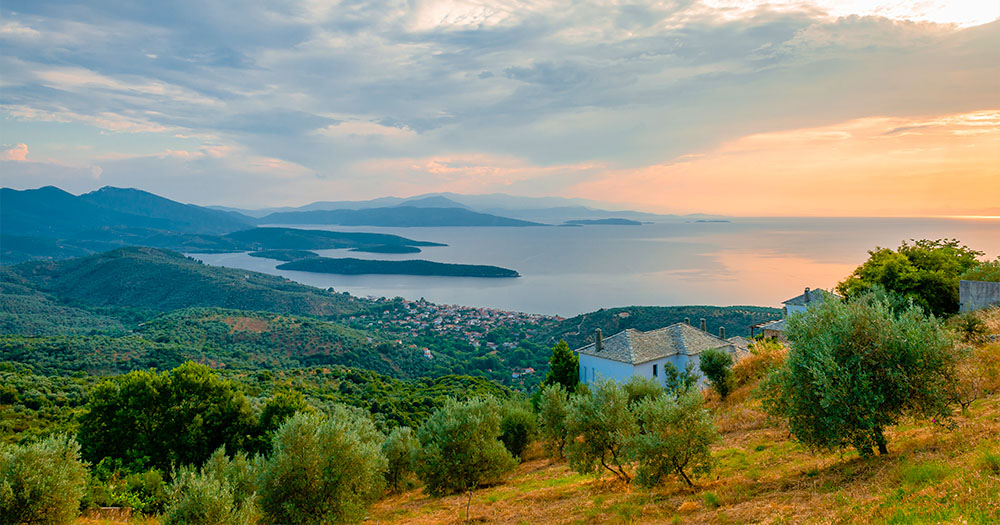 Scenic view of the Pelion region in Greece, with olive groves, mountains, and the sea at sunset.