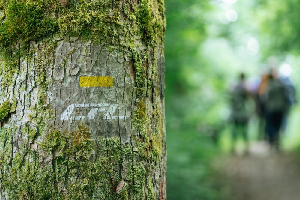 Situated in the south, CFL Hiking Trail 30 winds its way through the striking red rock landscapes of a revitalized mining region and the renowned Minett Park where visitors can marvel at original steam trains. CFL trails are marked with the rail operator's logo.
