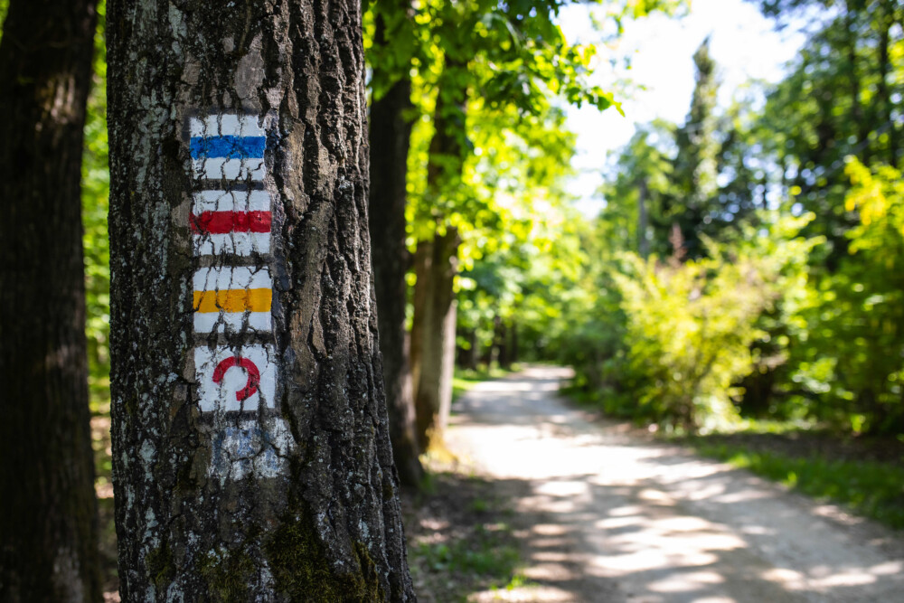 Well-marked trails near Dobogókő make your hike easy to navigate.