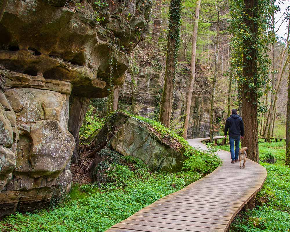 Hiker on the Mullerthal Trail, Luxembourg
