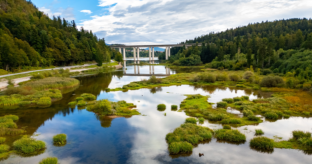 Peaceful lake with grassy islets and a bridge in the background.