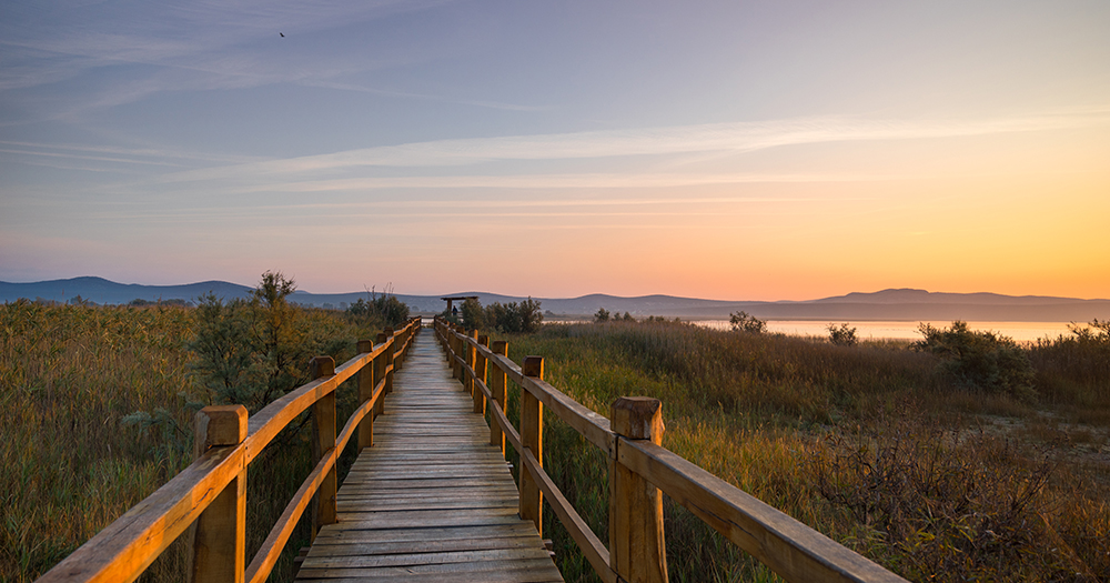 Wooden boardwalk leading through reeds at sunset near Vransko Lake.