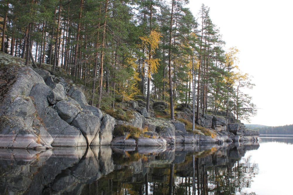 Rocky shoreline and pine forest reflected in the calm waters of Kolovesi National Park, Finland.