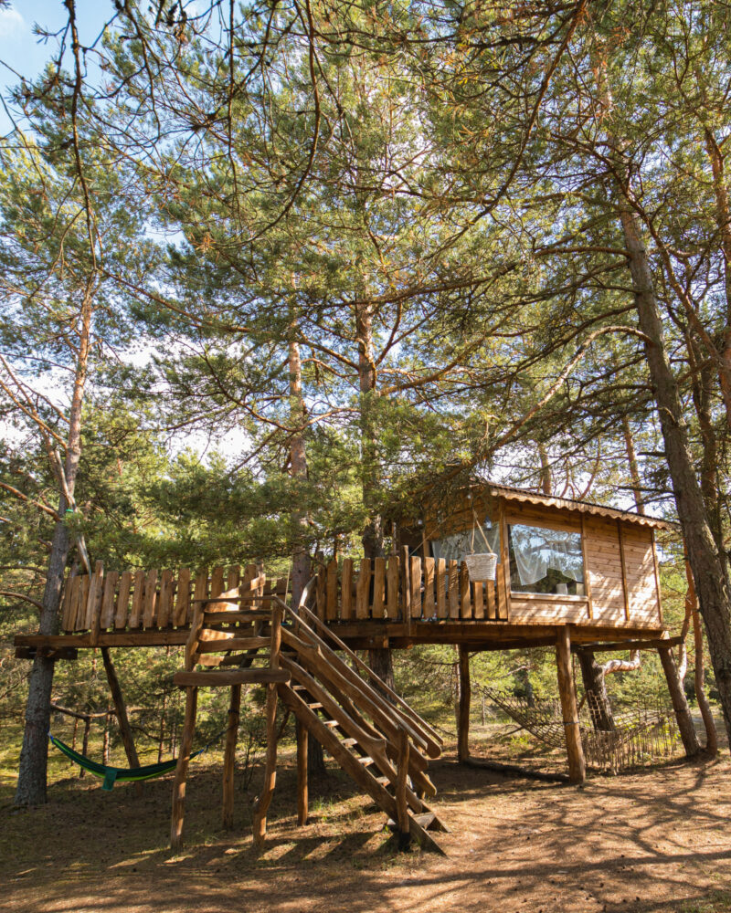 Perch among the birds at Camping Miera osta.