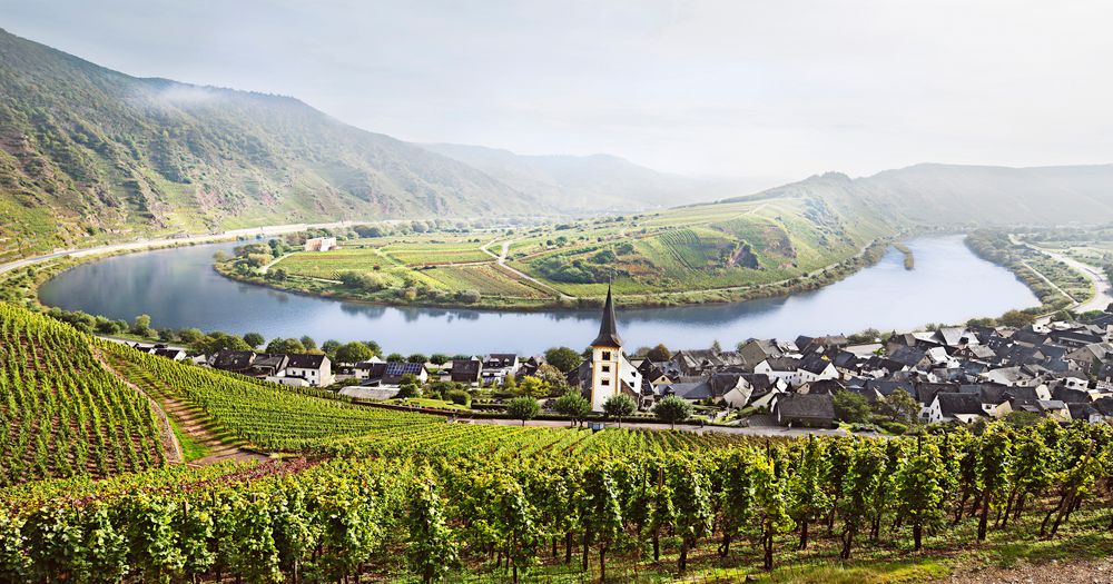 Panoramic view of the Moselle River loop in Bremm, Germany, surrounded by steep vineyards and a village with a church spire.