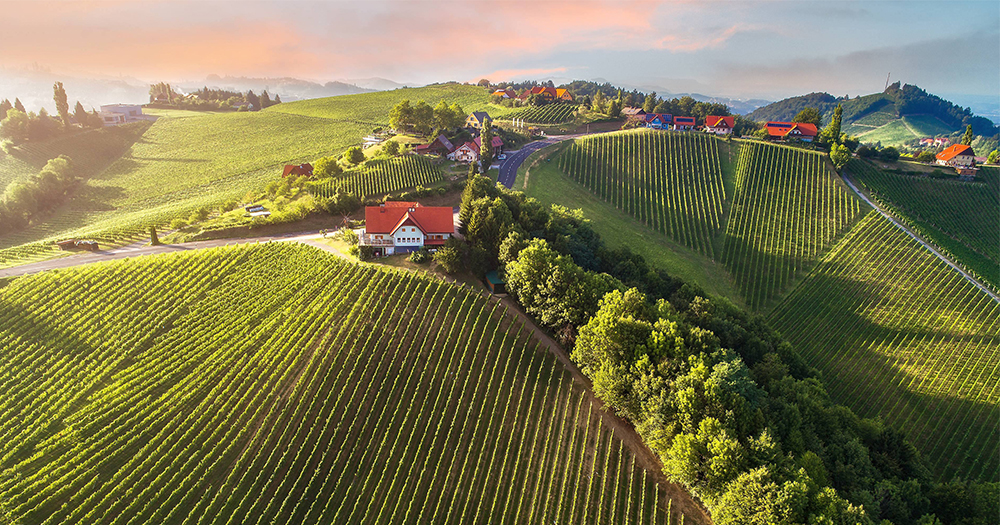 Panoramic drone view of South Styria’s rolling vineyards and wine villages at sunrise, Austria’s famous wine region.
