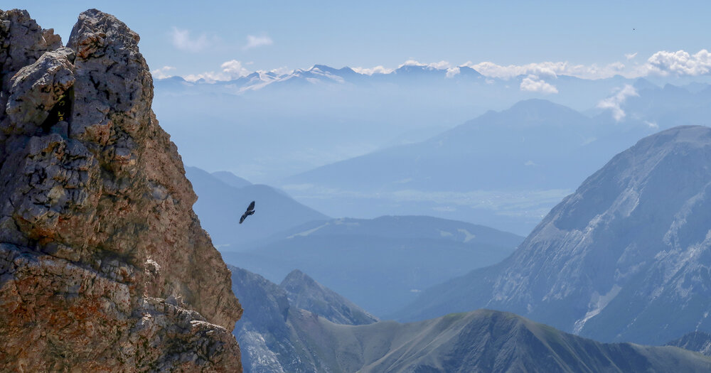 A majestic eagle soars near a rocky mountain peak, with expansive alpine valleys and snow-capped mountains in the background.