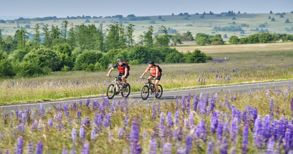 Two cyclists in red jerseys ride along a scenic road lined with purple wildflowers, surrounded by lush green hills and trees.