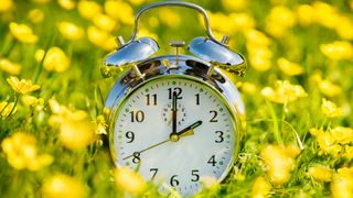 A silver analogue clock in a field of yellow flowers