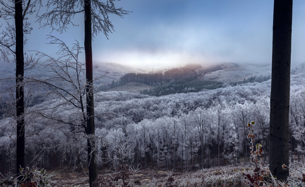 Take haunting winter photos in wintertime Mátra.