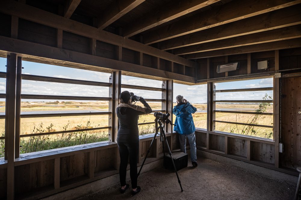 Birdwatchers observing from a wooden hut in Zwin Nature Park.