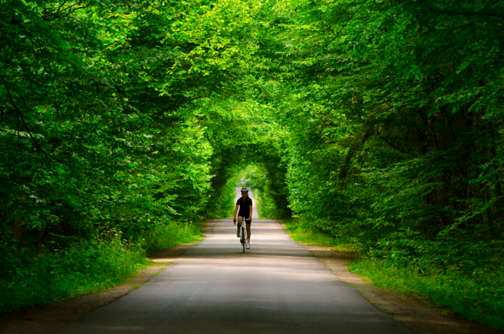 A cyclist rides along a tree-lined path, surrounded by lush green foliage creating a natural arch overhead.
